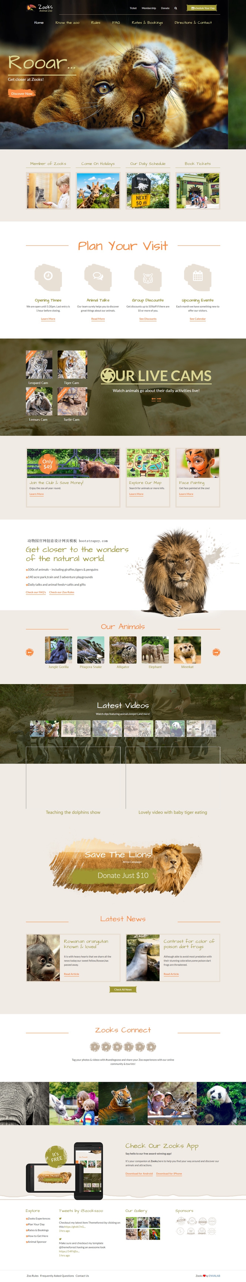 动物园官网创意设计网页模板